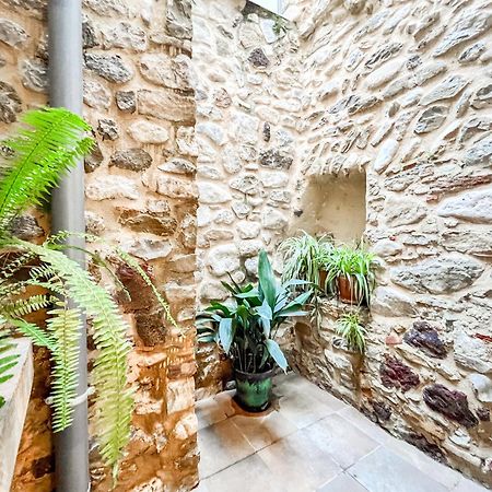 Ganganell Centre Apartamento Con Patio Besalu Exterior photo