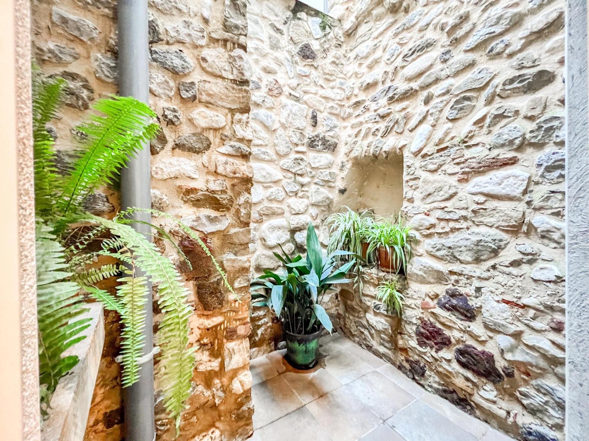 Ganganell Centre Apartamento Con Patio Besalu Exterior photo